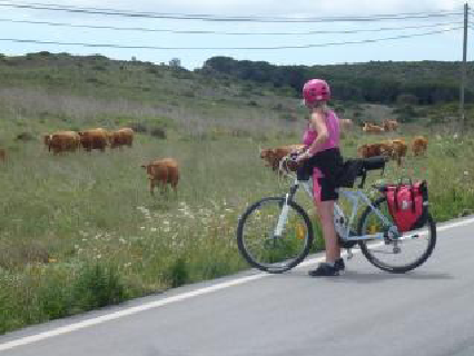 O melhor do Algarve